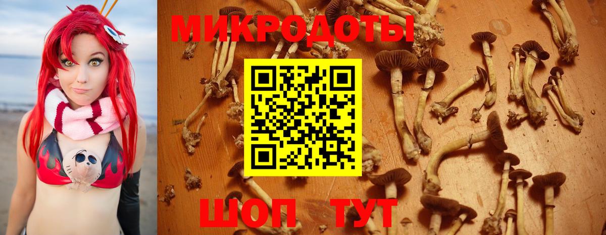 Усолье-Сибирское  Псилоцибиновые грибы мицелий  Вход с VPN  хочу   Галлюциногенные грибы Psilocybe 